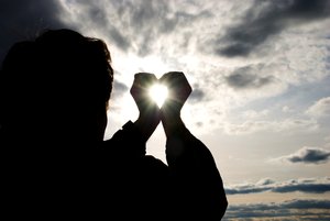 武川縣樹苗有限責任公司